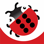 Braille Bug: Game